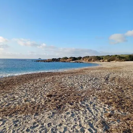 Les Cretes , Magnifique T2 4 Pers Route Des Sanguinaires Apartment