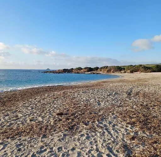Les Cretes , Magnifique T2 4 Pers Route Des Sanguinaires Appartement